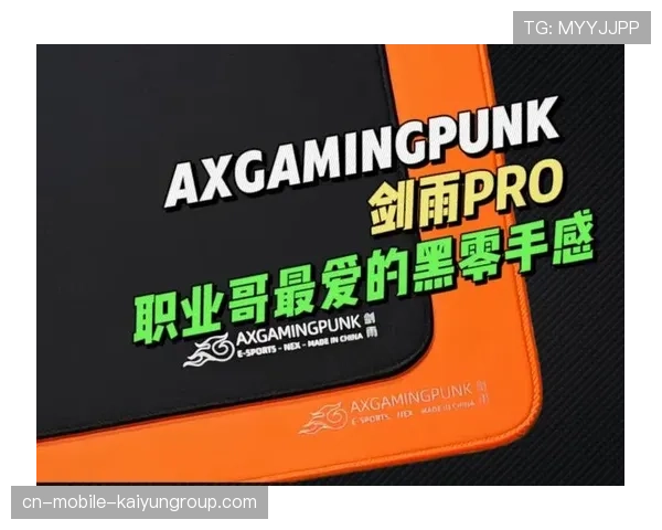 职业哥最爱的鼠标垫终于公开（475 ）